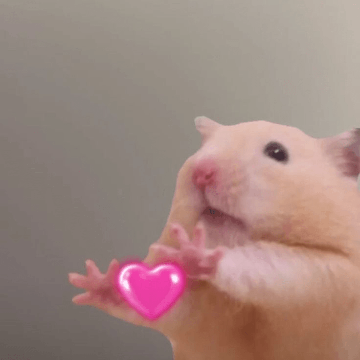 Hamster