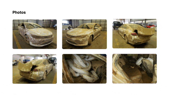 Recorded photos - GIF Recorded photos - GIF